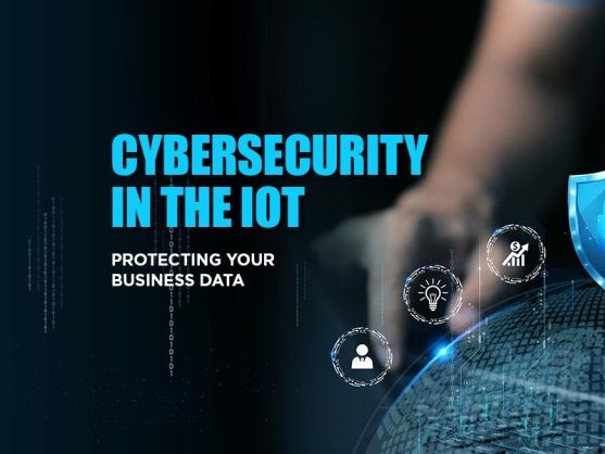 Cybersecurity and Privacy in the IoT
